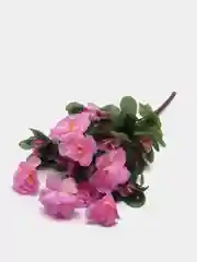 Розовый искусственные цветы Азалия