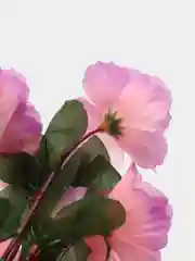 Розовый искусственные цветы Азалия