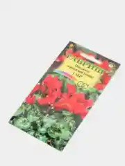 Семена Цикламен персидский  Габи мини