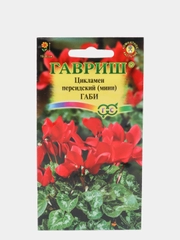 Семена Цикламен персидский  Габи мини