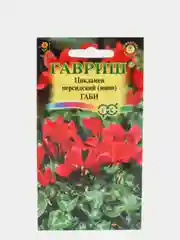 Семена Цикламен персидский  Габи мини