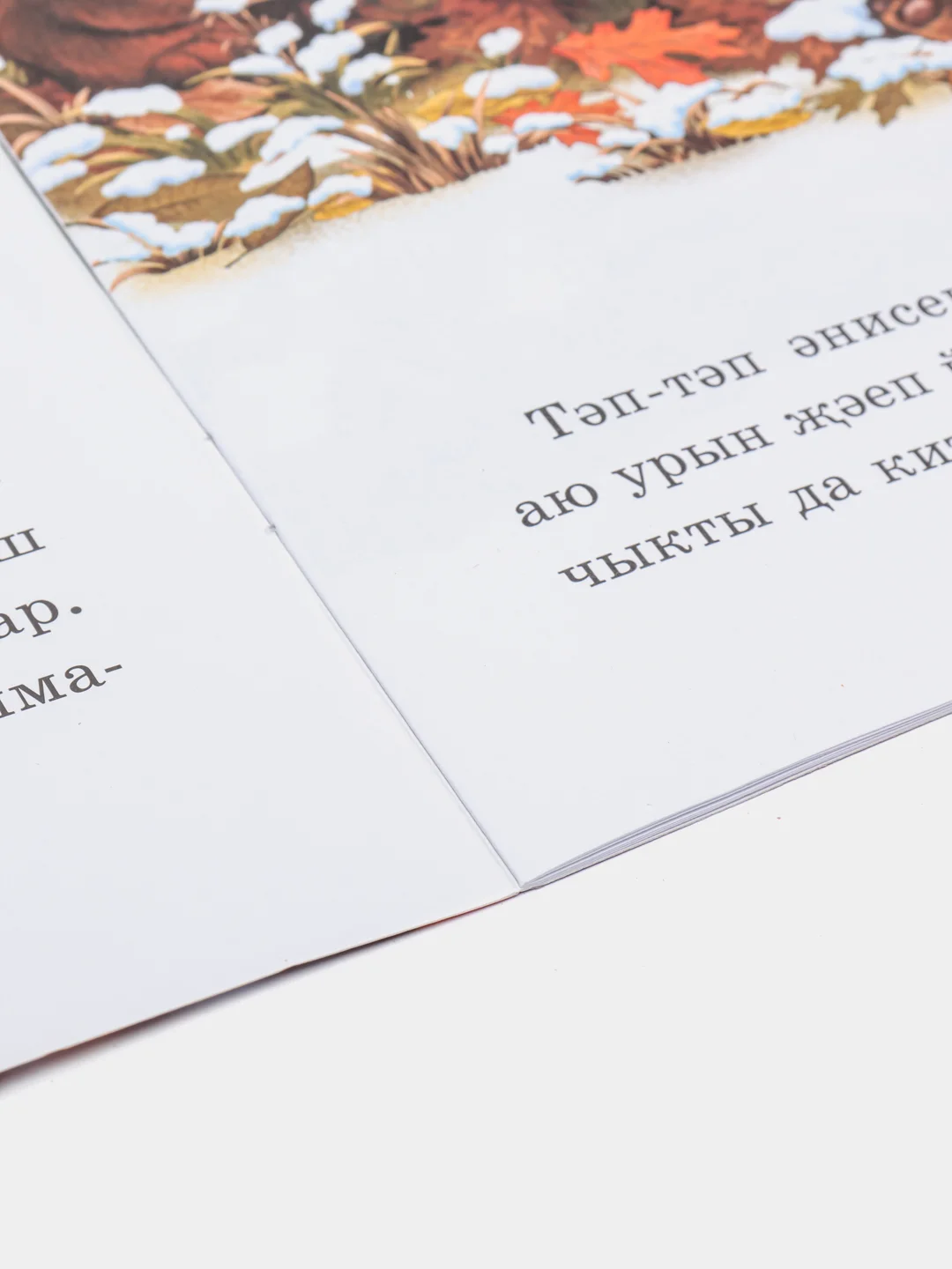 Коричневый аю баласы Тэп-тэп. Медвежонок. Танбатыр. В гостях у бабушки. Книги на татарском языке