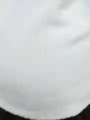 Шапка женская ТВОЕ