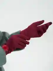 Багровый перчатки женские