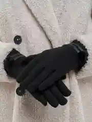 Черный перчатки женские