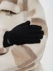 Черный женские перчатки