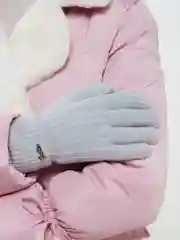 Серебряный женские перчатки