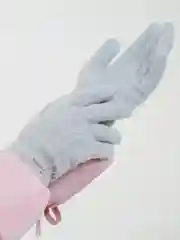 Серебряный женские перчатки