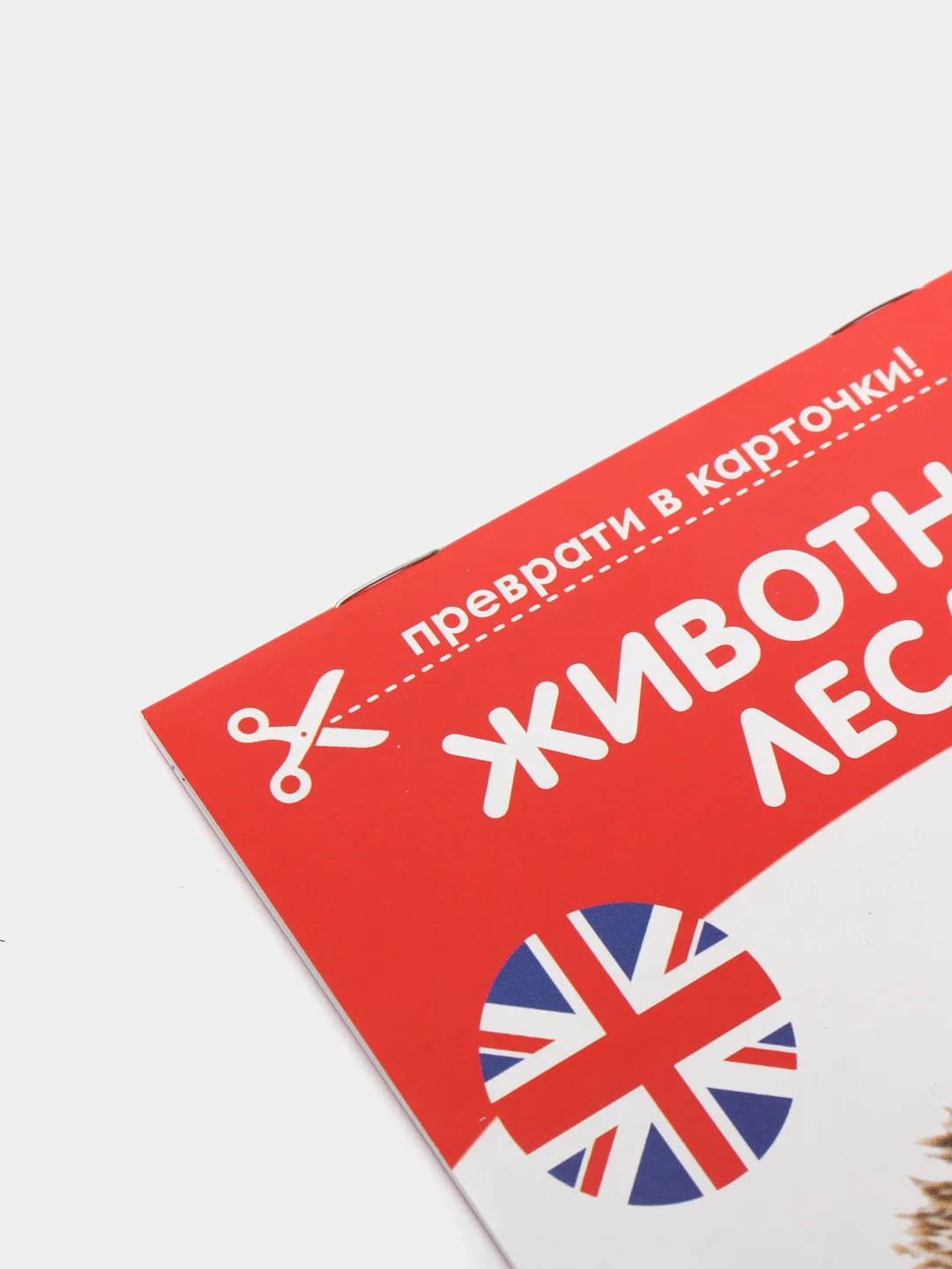 Серебряный развивающие карточки по методике Г. Домана в одном месте (мега)