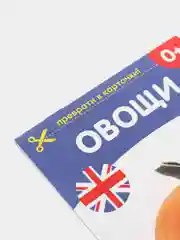Пудровый развивающие карточки по методике Г. Домана в одном месте (мега)