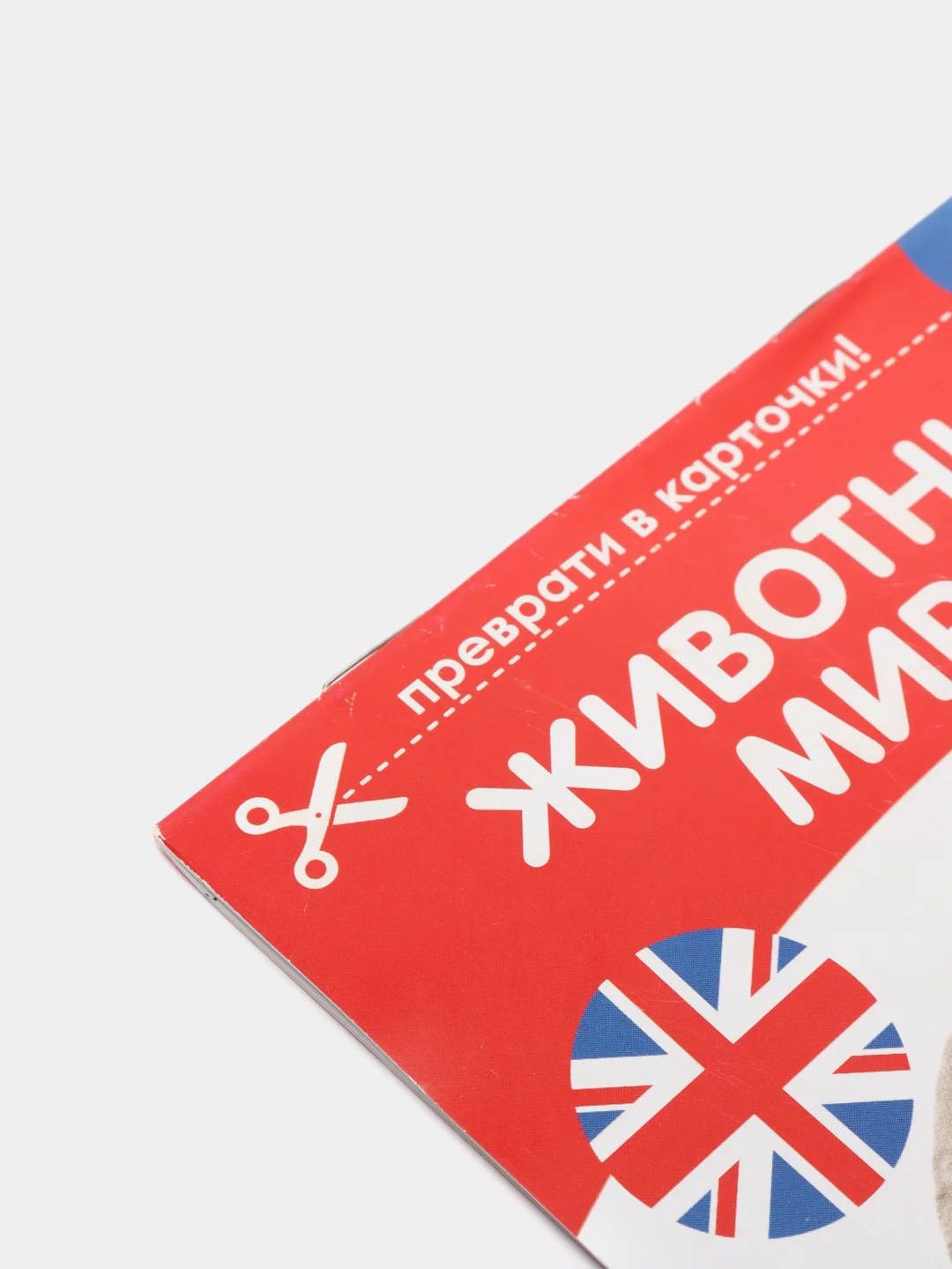 Салатовый развивающие карточки по методике Г. Домана в одном месте (мега)