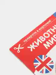 Салатовый развивающие карточки по методике Г. Домана в одном месте (мега)