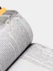 Настоящие сказки братьев Гримм, Якоб и Вильгельм Гримм