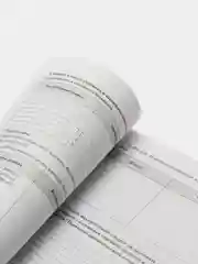 Рабочая тетрадь по обществознанию, 8 класс, И. С. Хромова