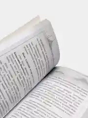Шейх Мухаммад Бахаутдин Накшбанди. Святые люди в исламе. Книга по исламу. Тасаввуф
