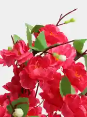 Тёмно-розовый искуственные цветы Сакура, декор для дома