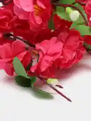 Тёмно-розовый искуственные цветы Сакура, декор для дома