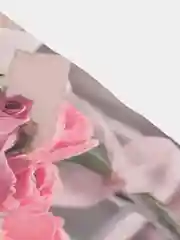 Белый пакеты подарочные полиэтиленовые
