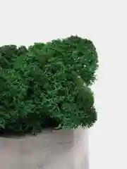 Кашпо, мрамор, 2 шт