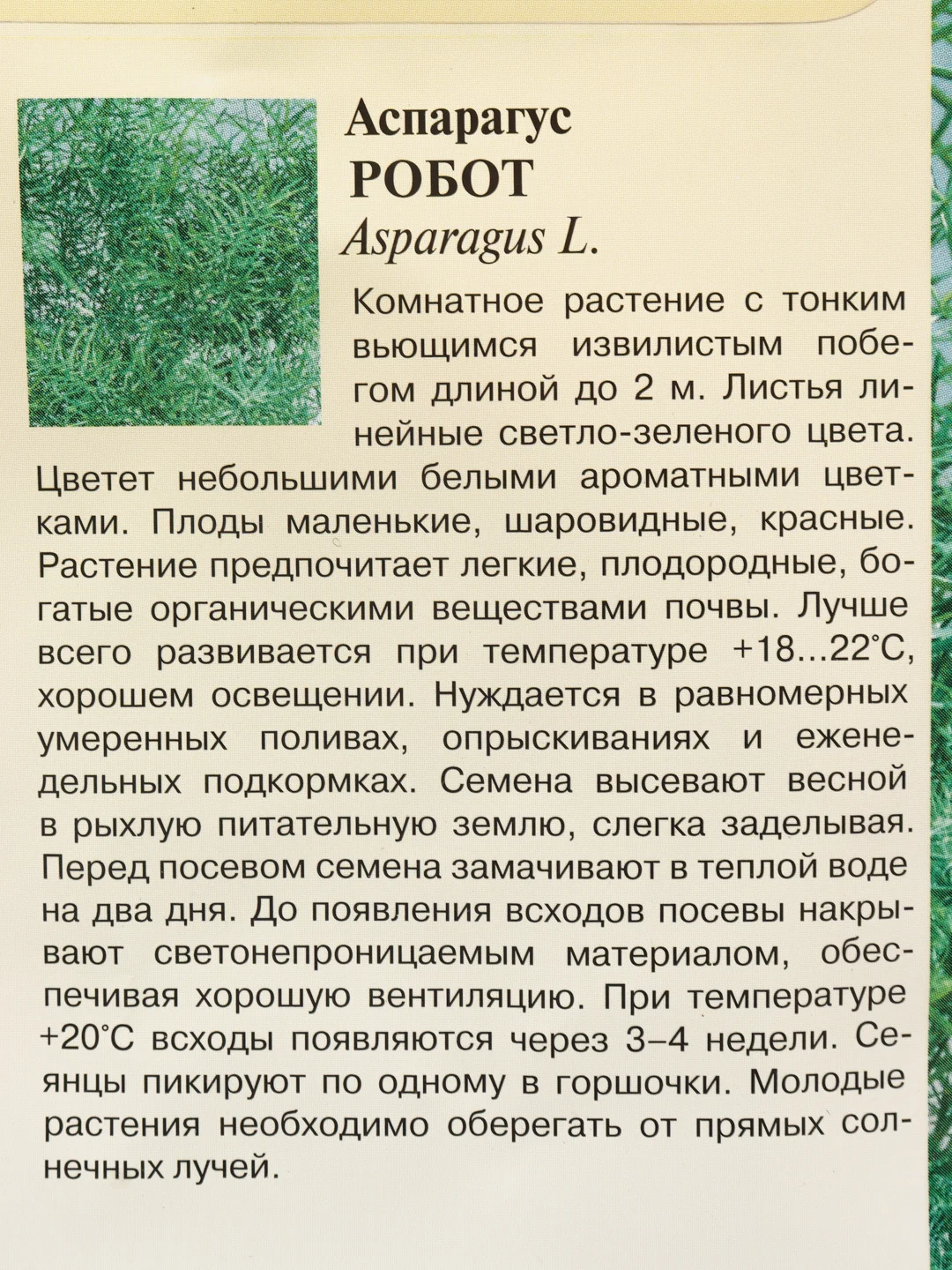 Семена Аспарагус кистистый "Робот"
