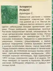 Семена Аспарагус кистистый "Робот"