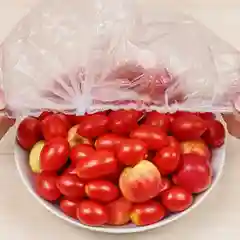 Полиэтиленовая крышка-чехол, с резинкой, для хранения продуктов, 20 штук