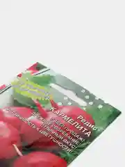 Семена Редис "Кармелита"