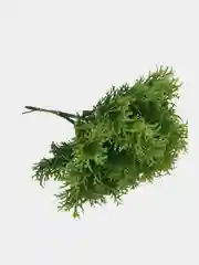Зелень искусственная