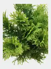 Зелень искусственная