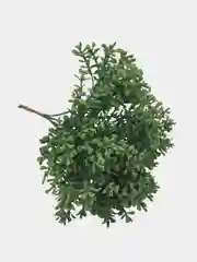 Зелень искусственная