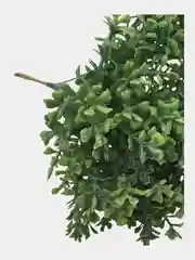 Зелень искусственная