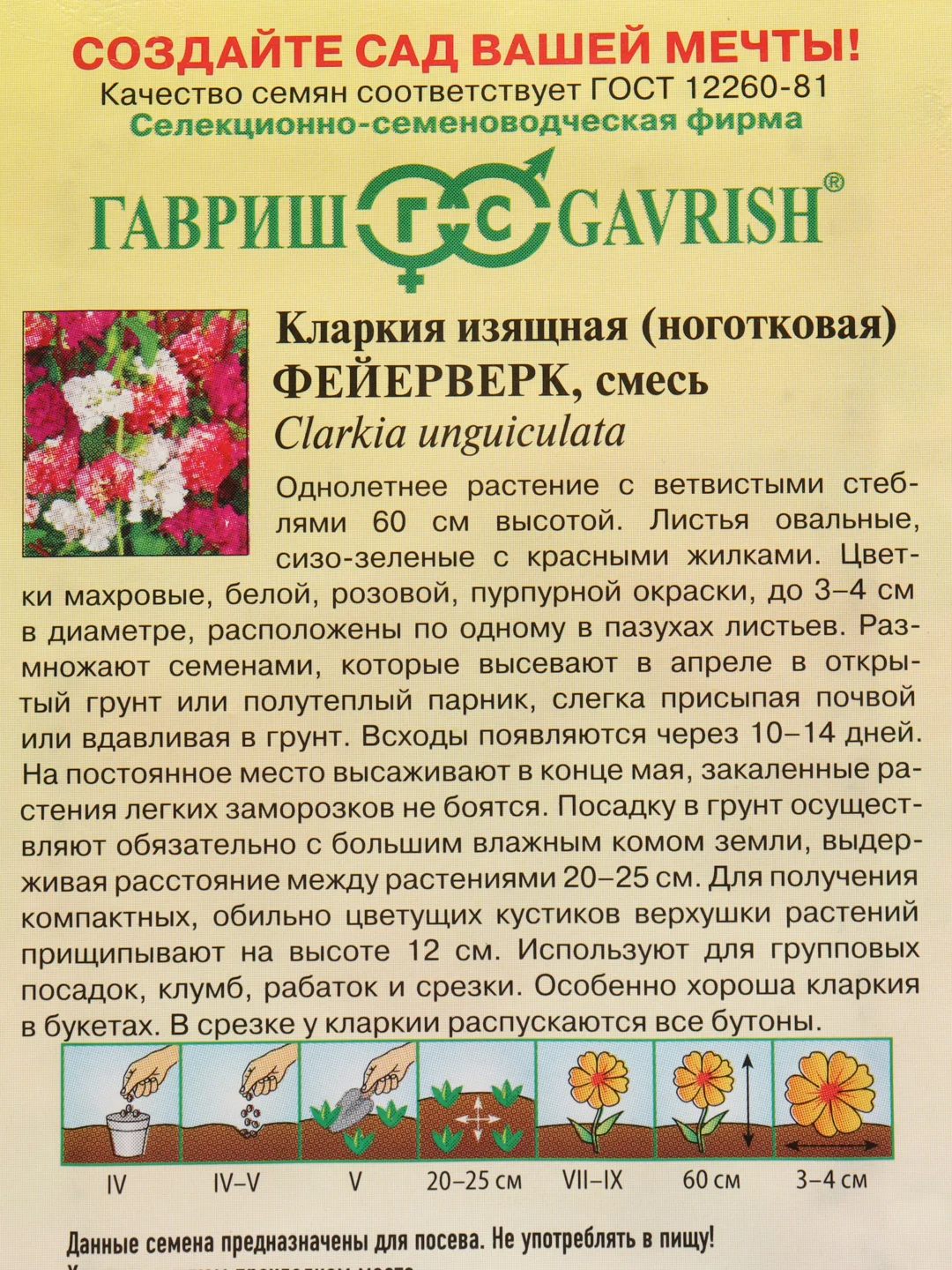 Семена Кларкия изящная "Фейерверк" набор 1, 3, 5 уп
