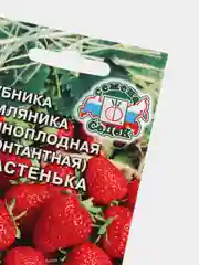 Семена Клубника F1 "Настенька" (земляника крупноплодная ремонтантная)