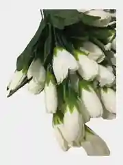 Белый цветы искусственные