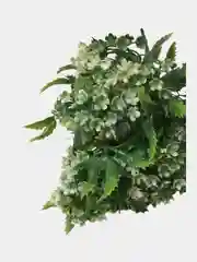 Белый цветы искусственные