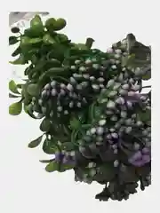 Белый цветы искусственные