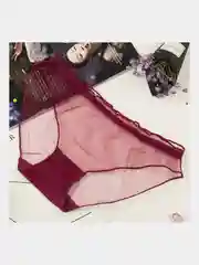Багровый трусы женские слипы, прозрачные