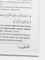 Журнал Шура №12 на татарском языке. Издательство Хузур