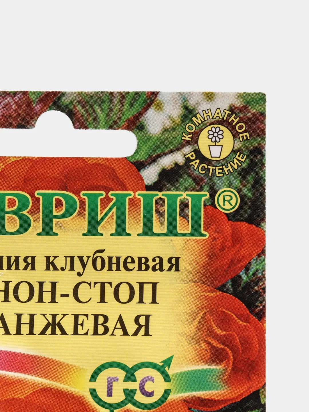 Семена Бегония F1 "Нон-стоп оранжевая"
