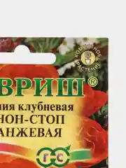 Семена Бегония F1 "Нон-стоп оранжевая"