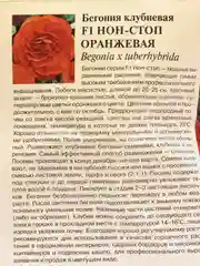 Семена Бегония F1 "Нон-стоп оранжевая"