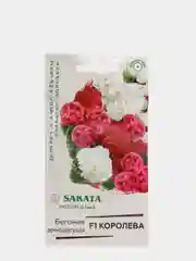 Семена Бегония вечноцветущая F1 "Королева"