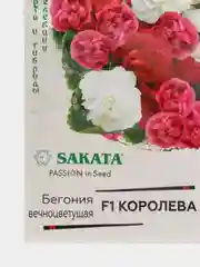 Семена Бегония вечноцветущая F1 "Королева"