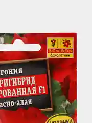 Семена Бегония "Америгибрид гофрированная F1" красно-алая