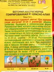 Семена Бегония "Америгибрид гофрированная F1" красно-алая
