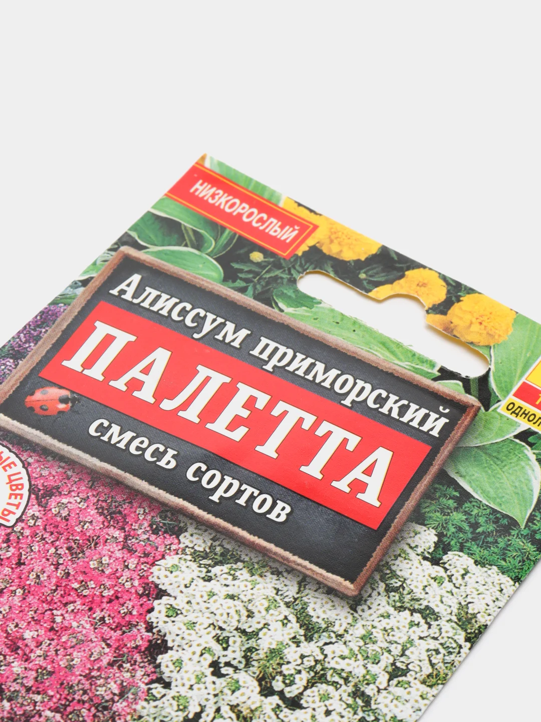 Алиссум Палетта, семена, цветы