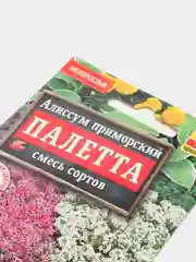 Алиссум Палетта, семена, цветы