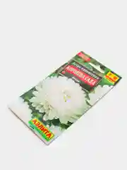 Семена Астра "Королева сада белая"