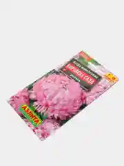 Астра "Королева сада" розовая (семена, цветы)