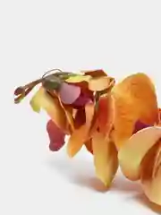 Искусственная Орхидея Фаленопсис Оранжевая